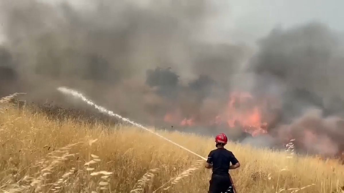 Arnavutluk orman yangınlarıyla mücadele için AB'den yardım istedi