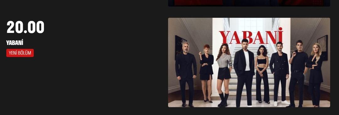 vahşi