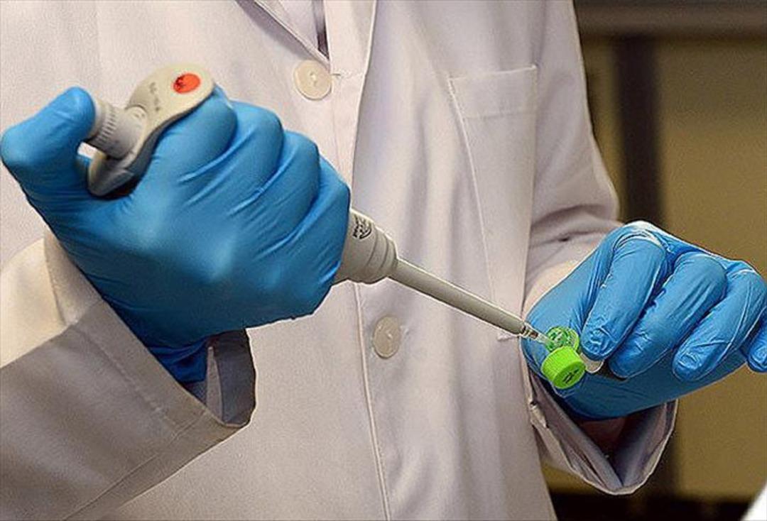 Kuzey Yarımküre'de H3N2 alarmı!