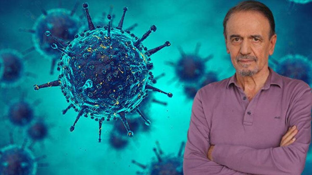 prof. Ceyhan'dan Dr. "Maymun çiçeği" varyantı uyarısı