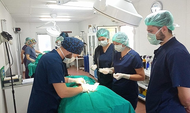 Geleceğin veteriner hekimleri için pratik eğitim - SAĞLIK