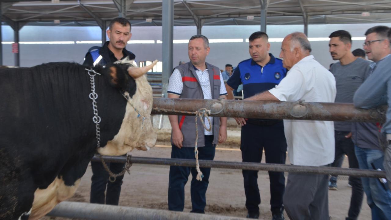 Niğde hayvan pazarındaki kurbanlar denetlendi