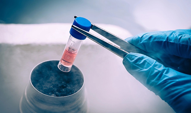 Ortopedide kök hücre devrimi: Geleceğin tedavi yöntemi - SAĞLIK
