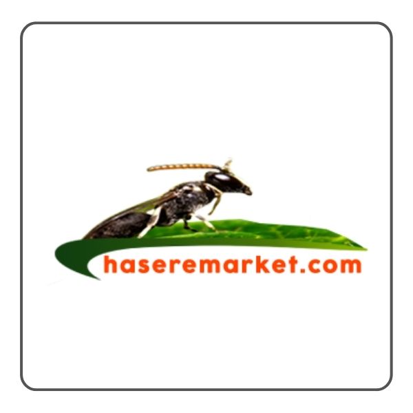 hasere market